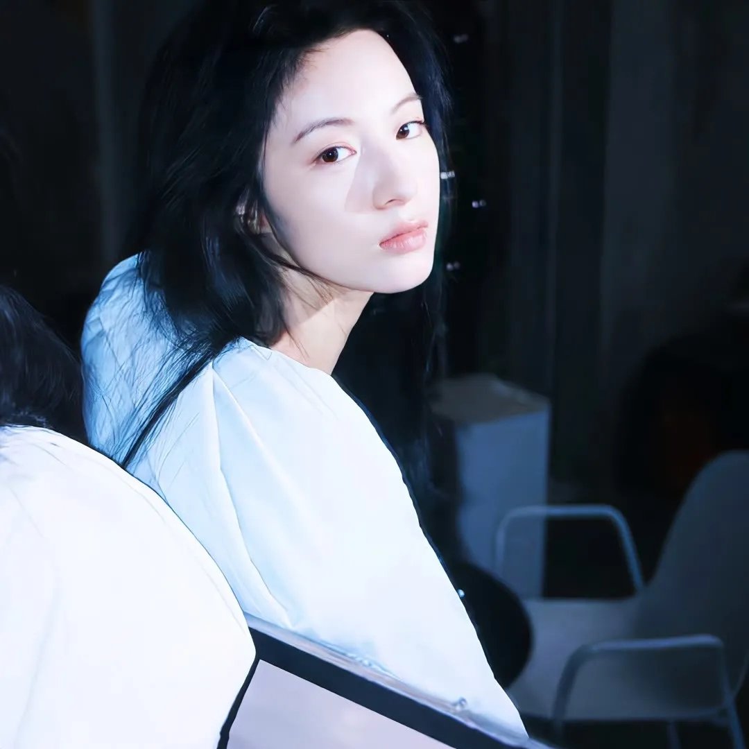藏獒情未了