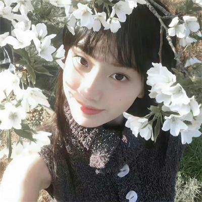 御苑琼霄